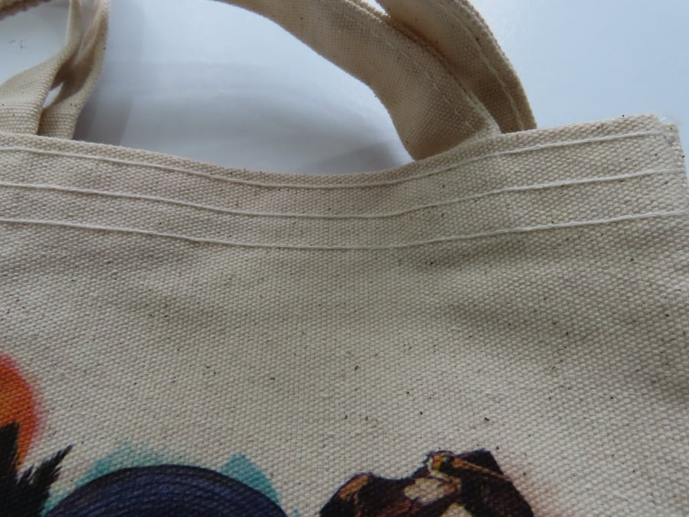 Canvas Hand Bag